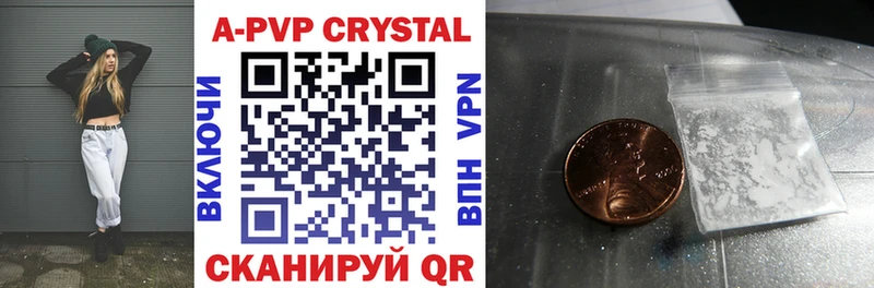 A-PVP СК КРИС  Западная Двина 