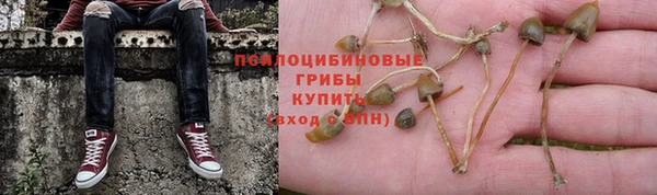 МДПВ Струнино