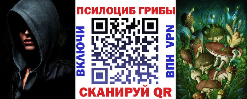 Псилоцибиновые грибы мухоморы  ОМГ ОМГ зеркало  Западная Двина 